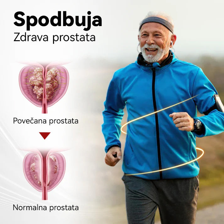 šššÆšØš§šš¦šš§š¬š¤š¢ š§šØš¬š§š¢ š¢š§š”šš„šššØš« šš¢šš§šššā¢ šš«šØš¬šššš¢š«
