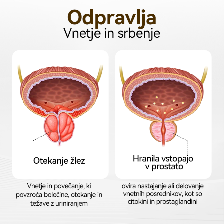 CZTICLE™ 🔥ProstaVibe Inhalator za zdravje čebel